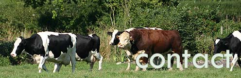 Contact Details for Oak Lane Farm, Barston