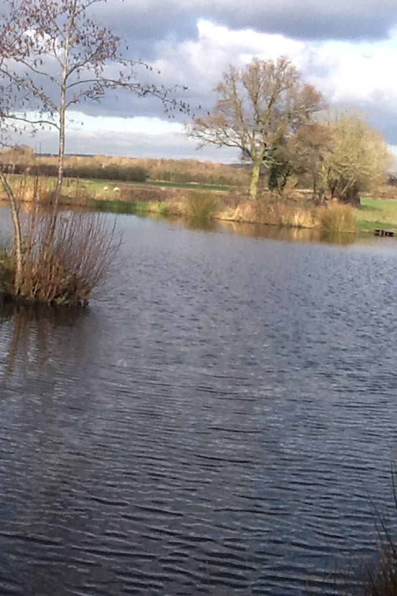 Oak Lane Farm Barston Fishing Ponds Childcare Fresh Farm Eggs
