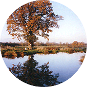 Autumnal Moors Pools
