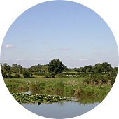 Second Moors Pool