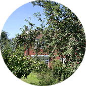The Orchard, Oak Lane Farm, Barston